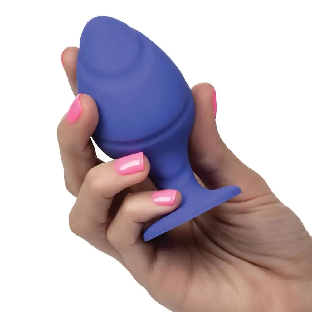 California Exotic Silicone Purple Butt Plug Set with Suction Cup