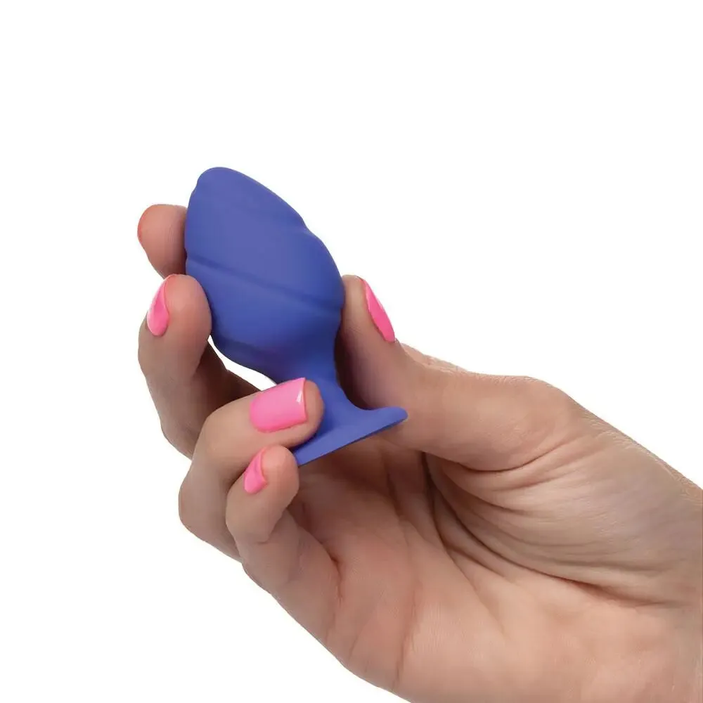 California Exotic Silicone Purple Butt Plug Set with Suction Cup
