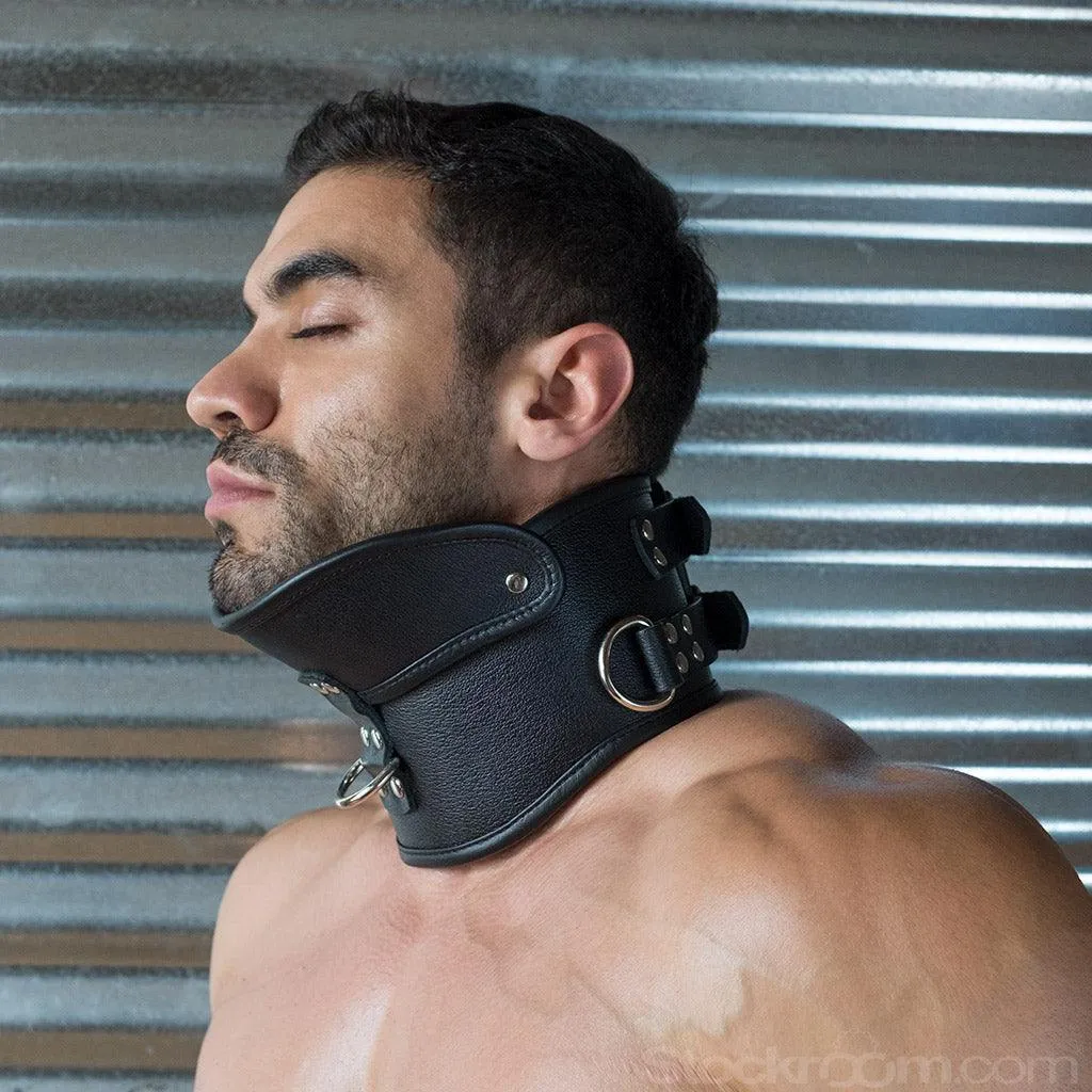 Deluxe Padded Leather Posture Collar w/ D Rings