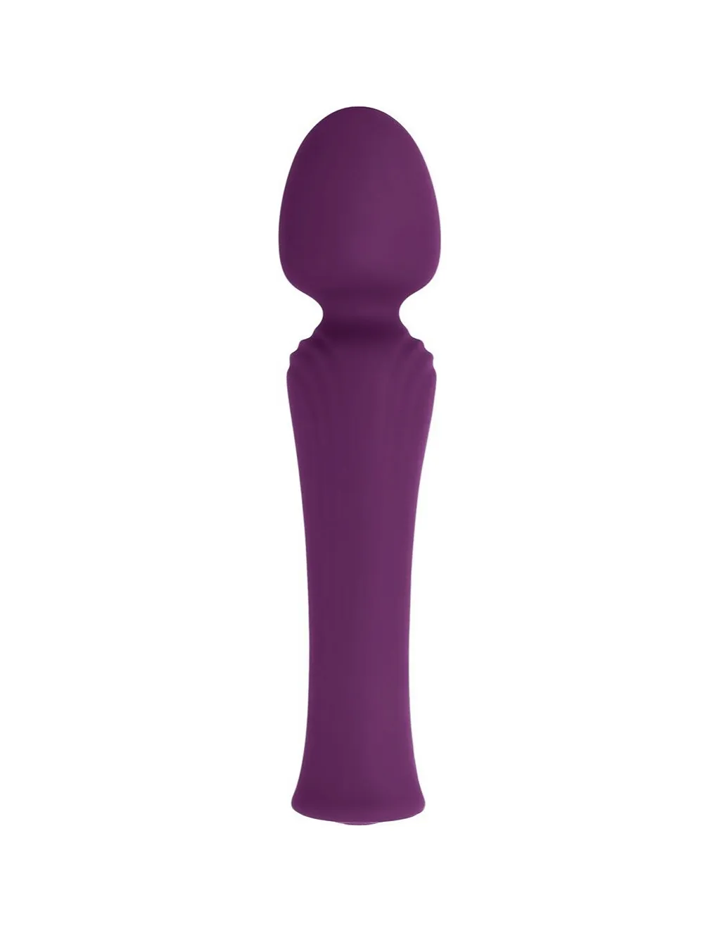 Evolved My Secret Wand Vibrator
